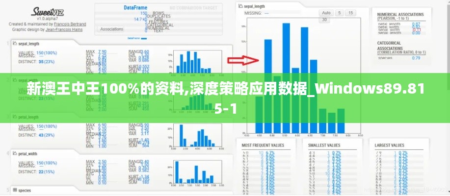 新澳王中王100%的资料,深度策略应用数据_Windows89.815-1