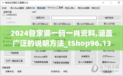 2024管家婆一码一肖资料,涵盖广泛的说明方法_tShop96.134-5