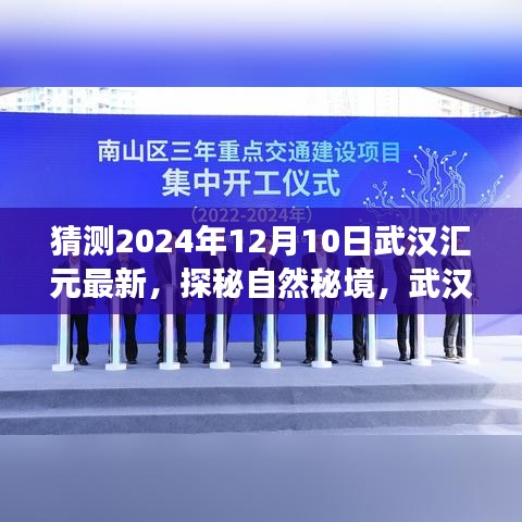 探秘武汉汇元秘境之旅，启程寻找内心宁静的港湾（最新预测，武汉汇元之行，2024年12月）