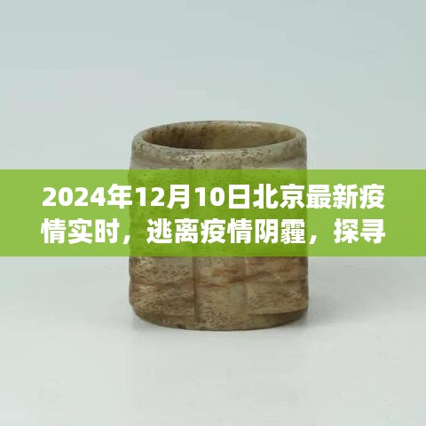 北京疫情实时更新，阳光下的自然秘境探寻之旅（2024年12月10日）