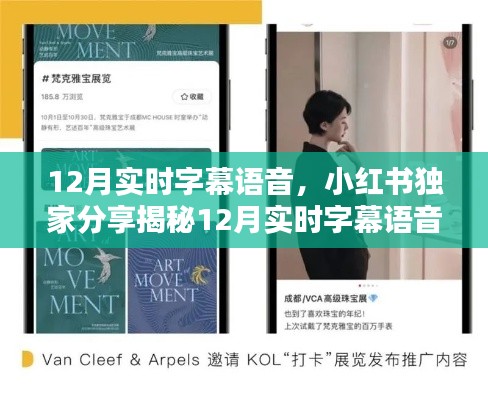 揭秘小红书独家分享，12月实时字幕语音的魅力与实用指南