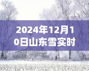 山东雪景下的风云变幻，实时云图的启示与思考