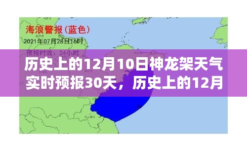 历史上的12月10日神龙架天气实时预报深度分析与观点阐述