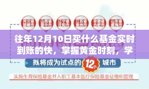 掌握黄金时刻，实时到账基金的投资策略与智慧选择之道