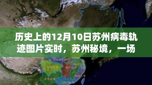 苏州病毒轨迹与自然秘境，追寻病毒轨迹的奇妙历史之旅（实时图片更新）