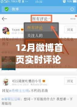 12月微博首页实时评论查看指南，深度评测与用户体验分析揭秘实时评论功能魅力所在