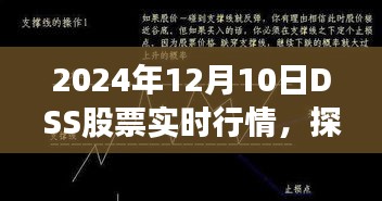 DSS股票实时行情下的独特美食体验，小巷深处的隐藏宝藏