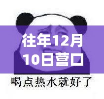 往年12月10日营口鲅鱼圈天气预报深度解读与历年气象分析影响