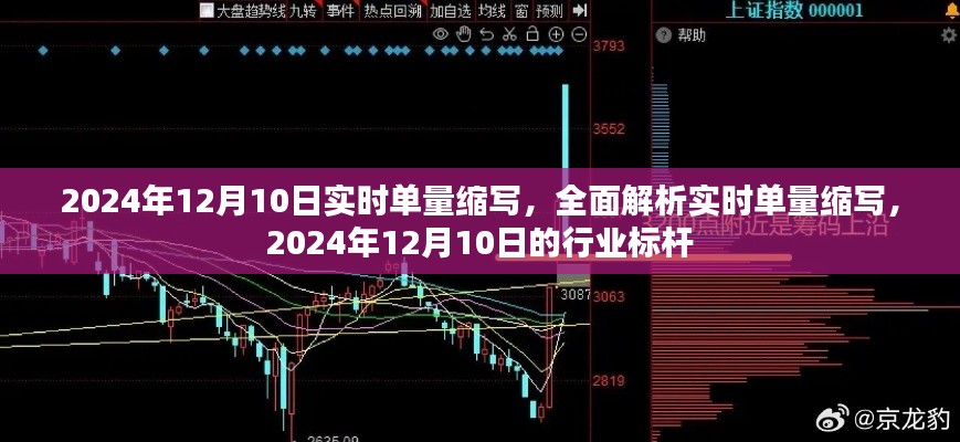 2024年12月10日实时单量缩写解析，行业标杆的全面视角