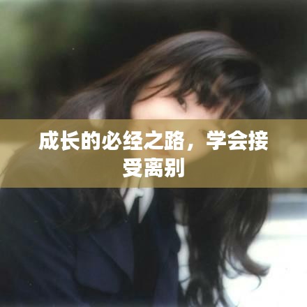 成长的必经之路，学会接受离别